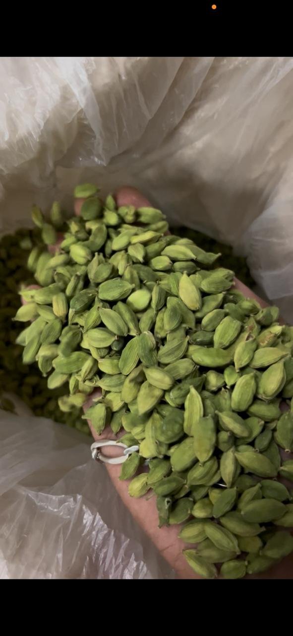 Cardamom