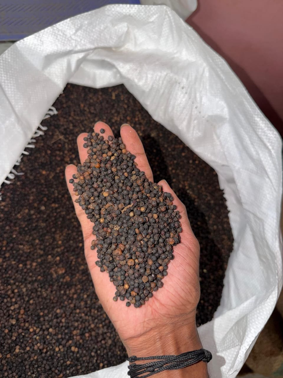 Black Pepper